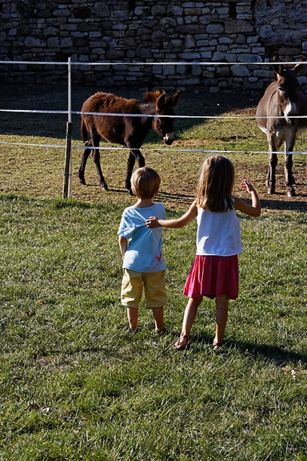 Famille et amis-SEP15-026